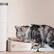 Alt View 18. PETLIBRO - Stainless Steel 4L Automatic Dog and Cat Feeder with Voice Recorder - White.