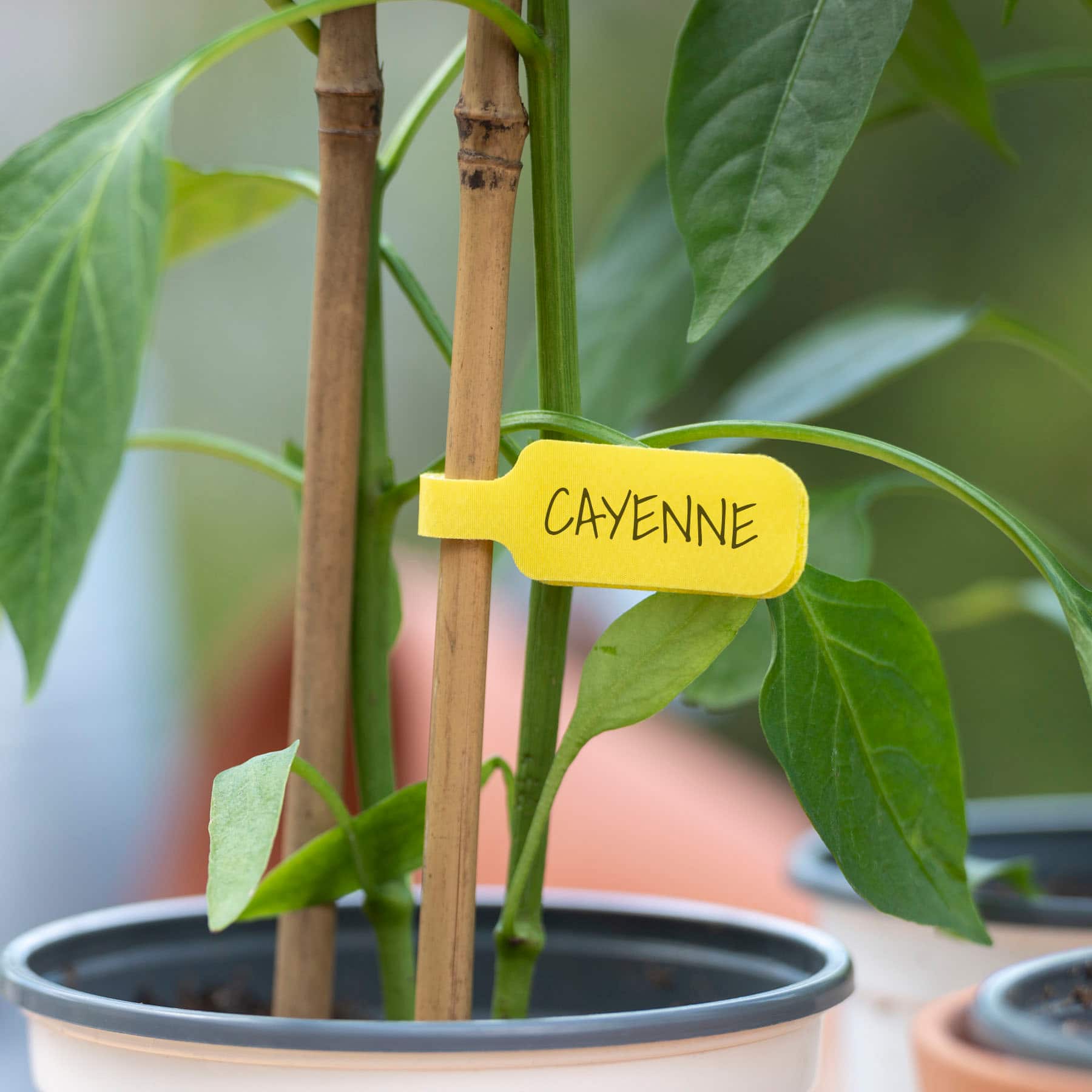 Alt View 11. Wrap-It Storage - Cable Label - Assorted.