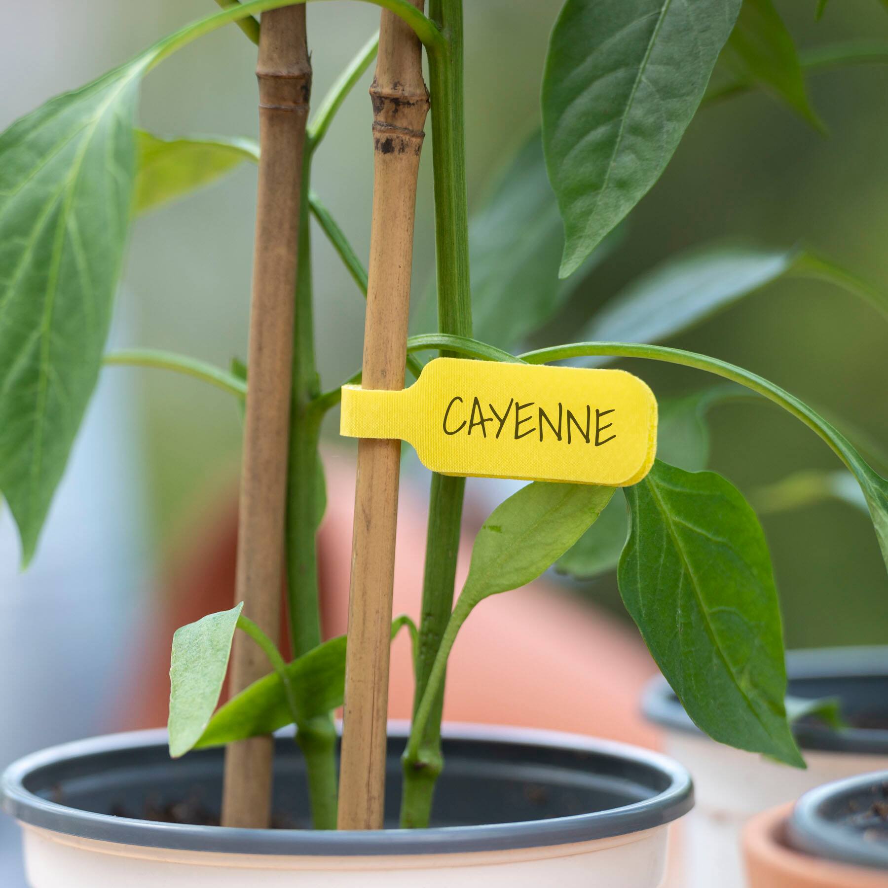 Alt View 11. Wrap-It Storage - Cable Label - Assorted.