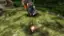 Alt View 12. Nintendo - Pikmin 1 + 2.