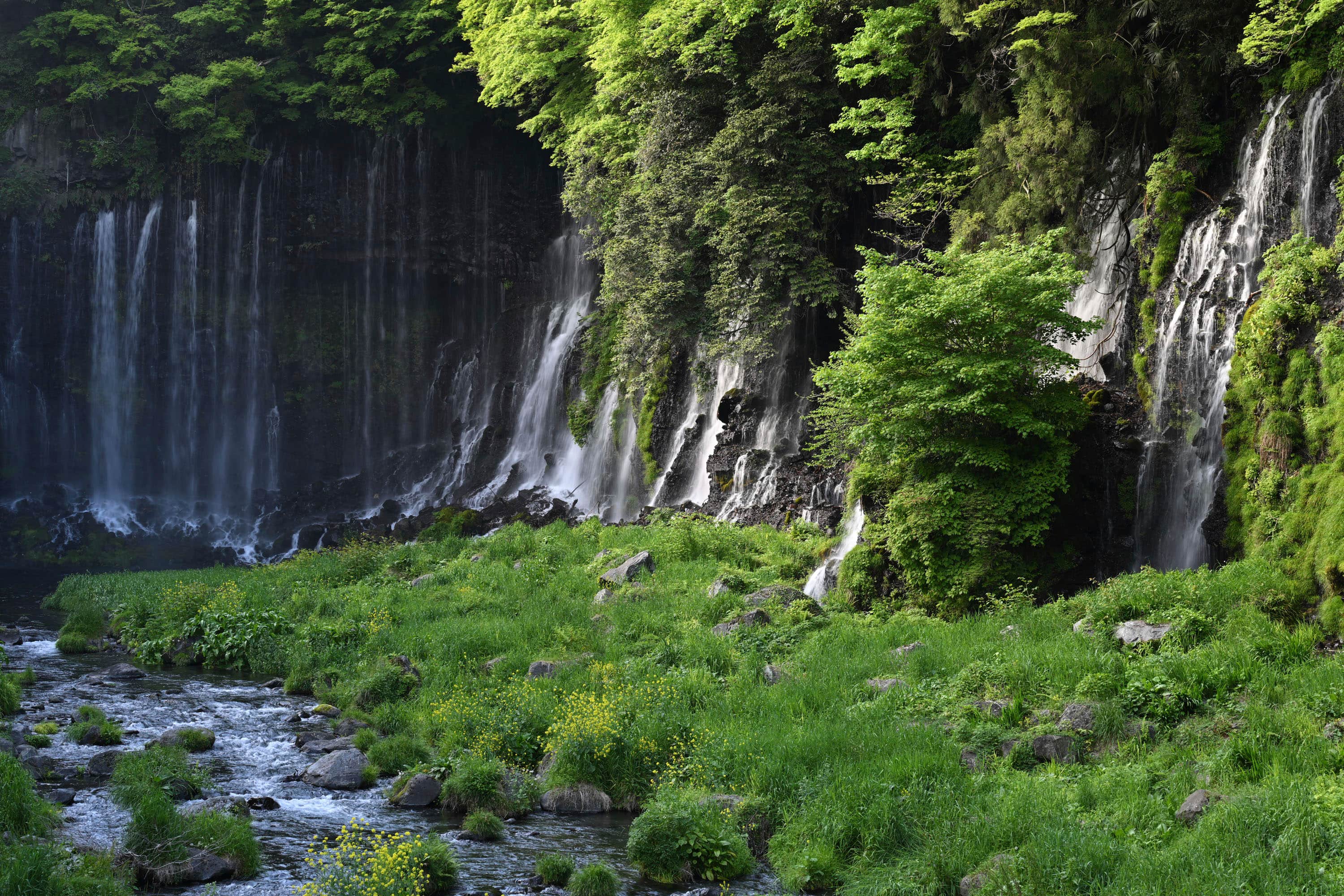 Alt View 1. Nikon - NIKKOR Z 70-180mm f/2.8 Standard Zoom Lens for Z Mount Cameras - Black.