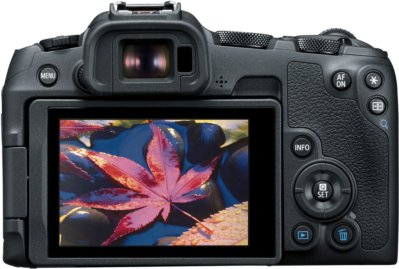 Canon EOS R8 - Camera Jabber