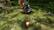 Alt View 12. Nintendo - Pikmin 1+2 Bundle.
