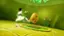 Alt View 15. GameMill Entertainment - Avatar The Last Airbender: Quest for Balance.