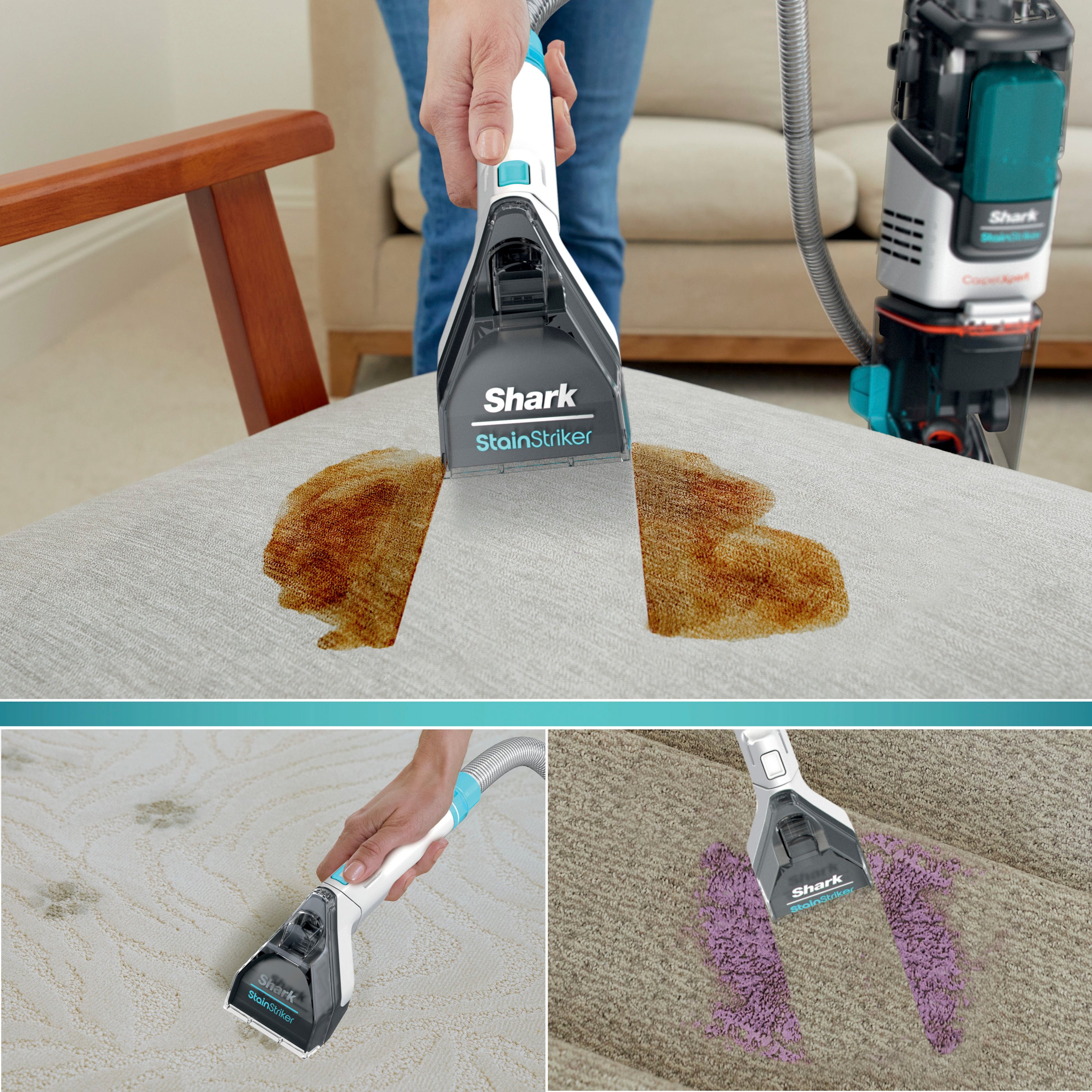 Shark Carpetxpert Deep Carpet Cleaner : Target