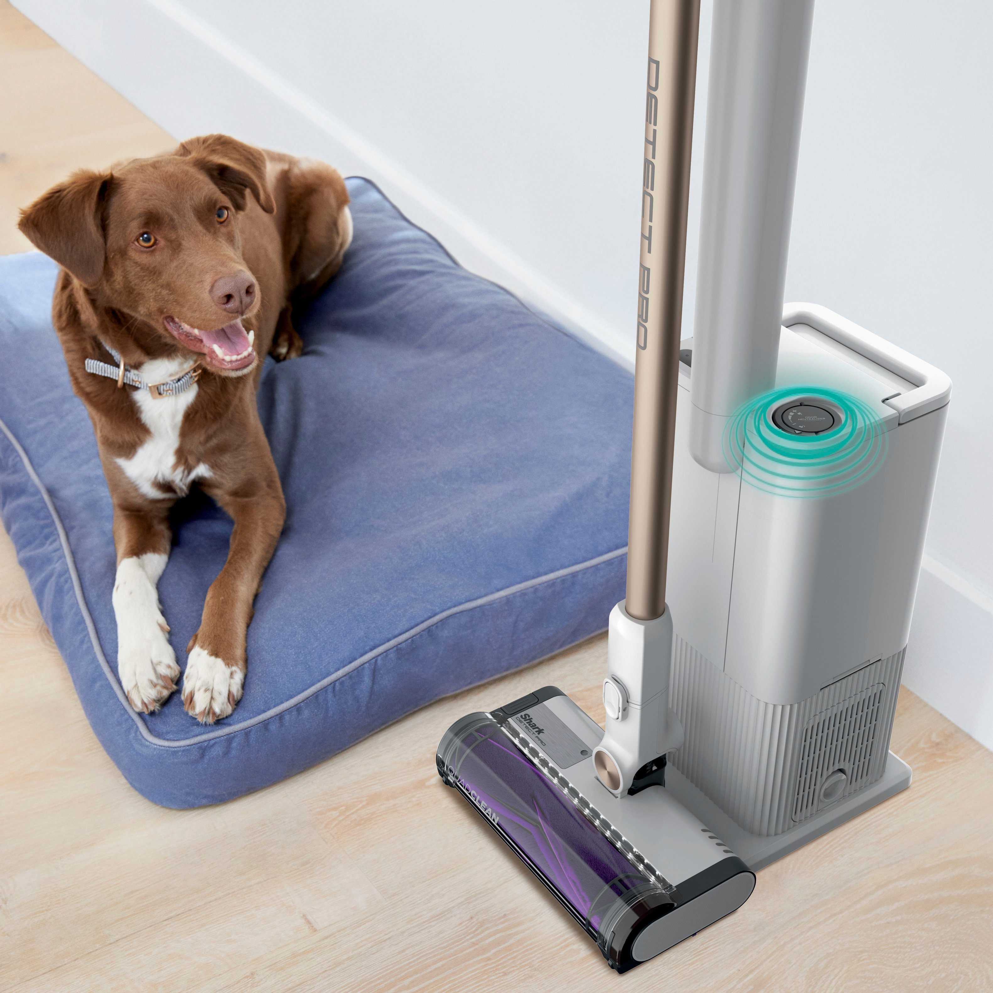 Shark Detect Pro Cordless Stick Vacuum with PowerFins Brushroll,  Stick/Handheld (2-in-1), Ash Purple/Grey, IW1120