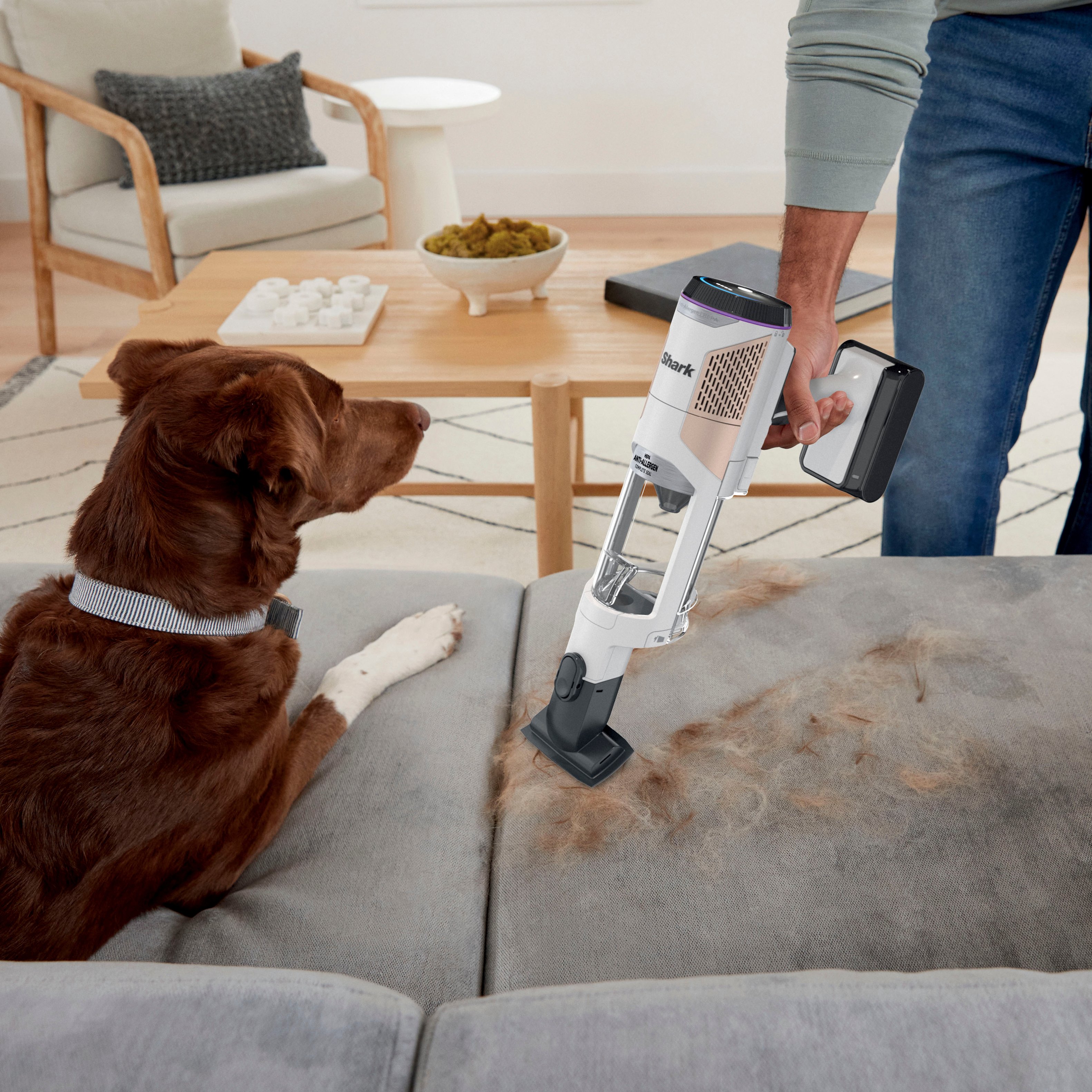 Shark Detect Pro Auto-Empty System, Cordless Vacuum with QuadClean