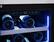 Alt View 19. Zephyr - Presrv 15 in. 3.4 Cu. Ft. 27-Bottle Wine Cooler with PreciseTemp - Stainless Steel + Glass.