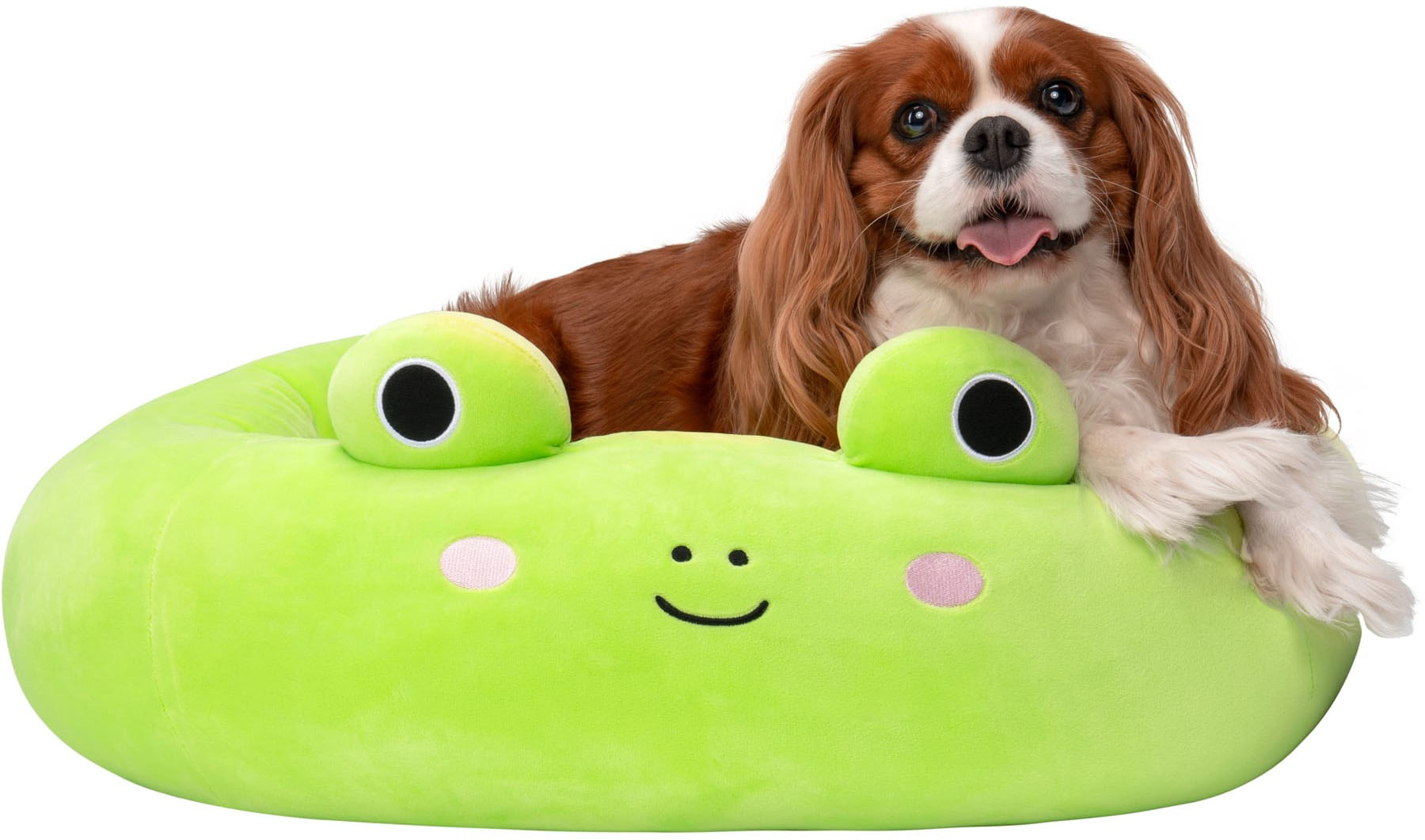 Jazwares Squishmallows 24-Inch Pet Bed Wendy the Frog Medium