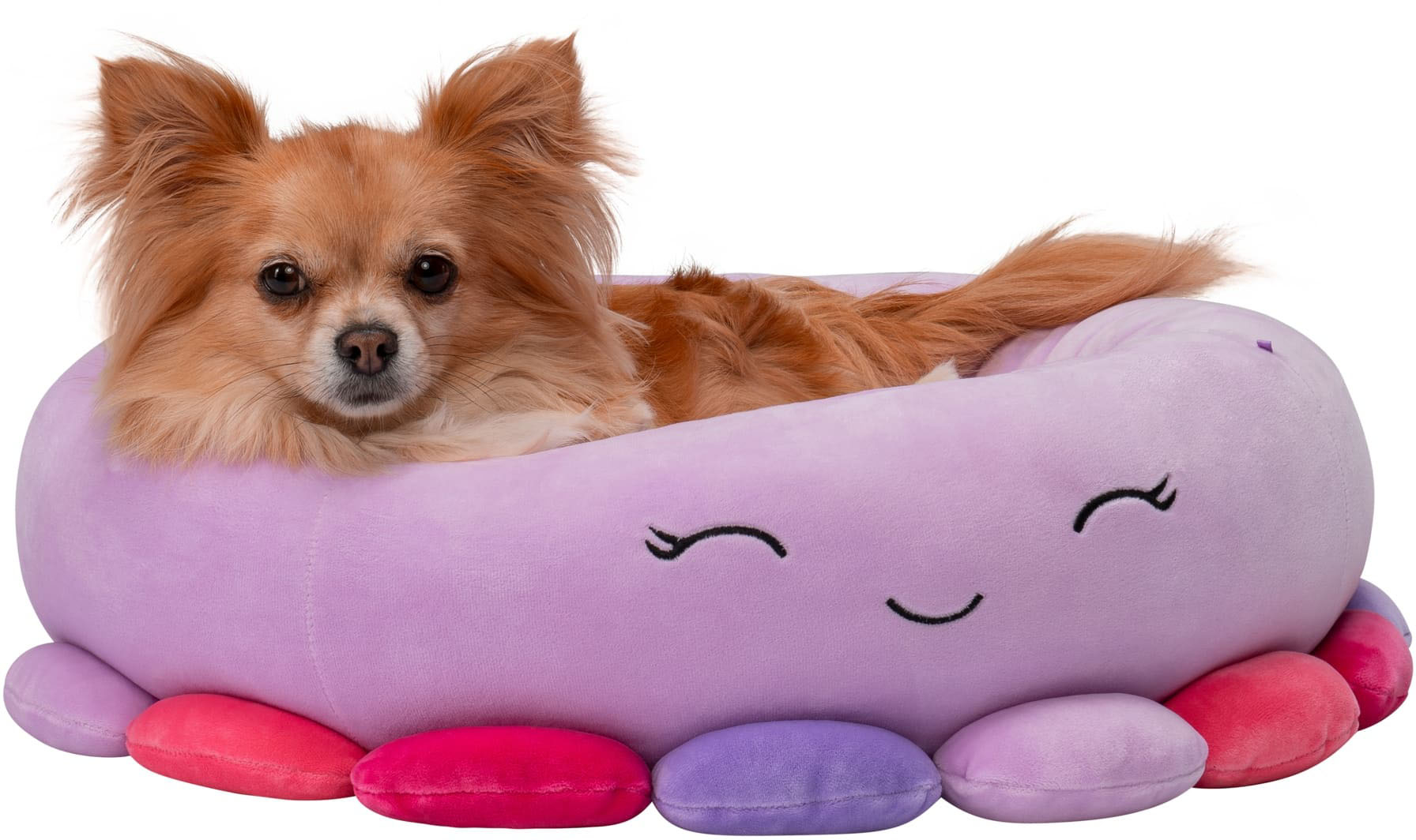 Jazwares Squishmallows Pet Bed Buela the Octopus Small JPT0085-S - Best Buy