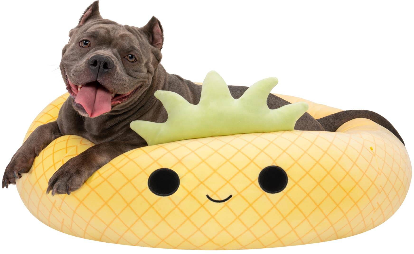 Jazwares Squishmallows 30-Inch Pet Bed Maui the Pineapple Large JPT0093 ...