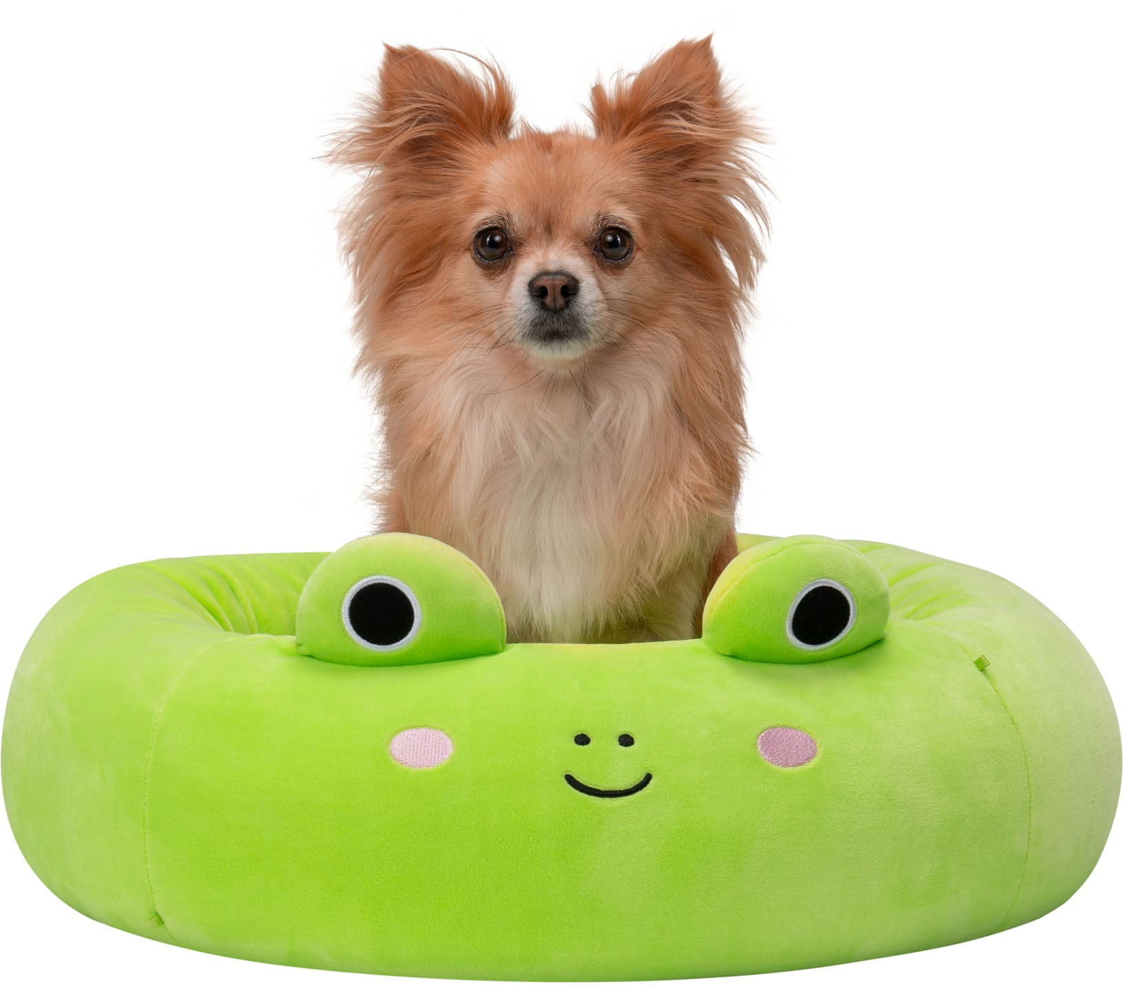 Jazwares Squishmallows 20-Inch Pet Bed Wendy the Frog Small JPT0089-S ...