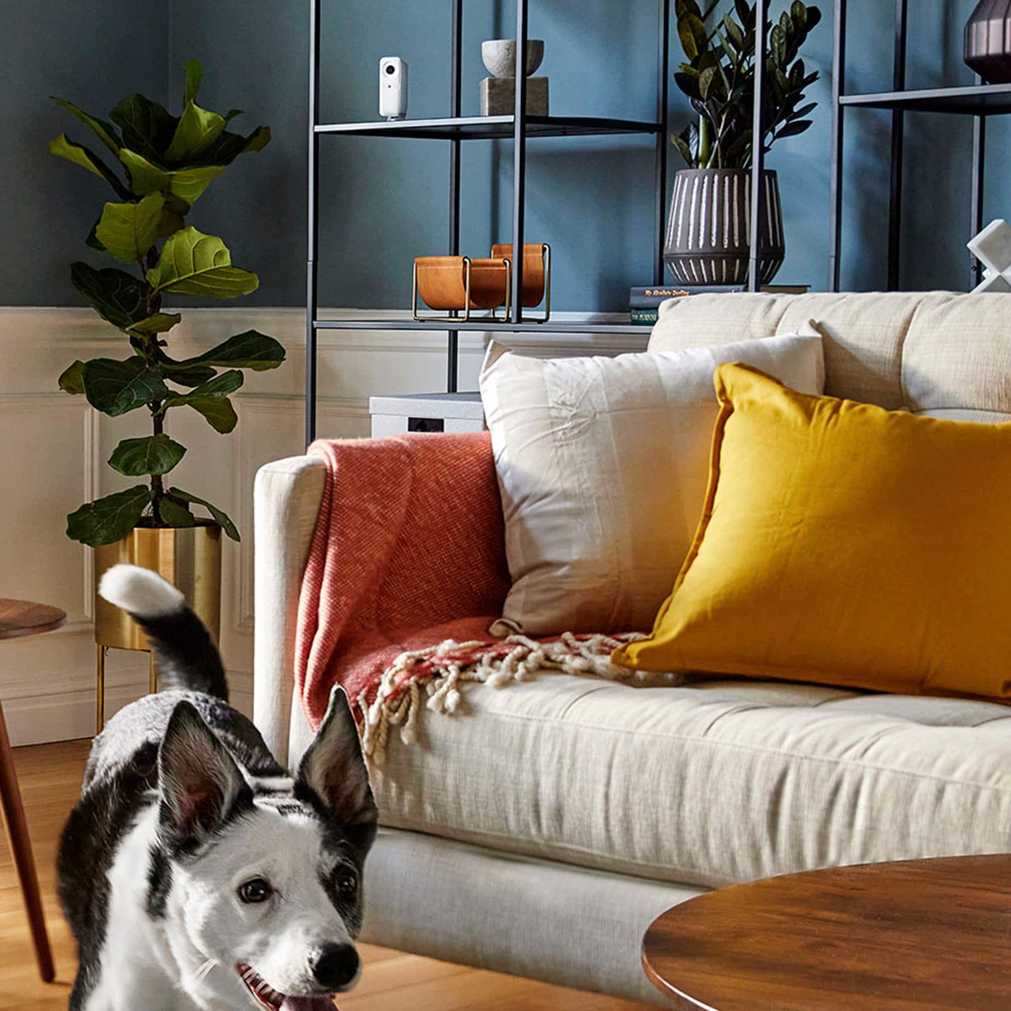 Alt View 14. SimpliSafe - Indoor Home Security System with Smart Alarm Wireless Indoor Camera 8-piece - White.