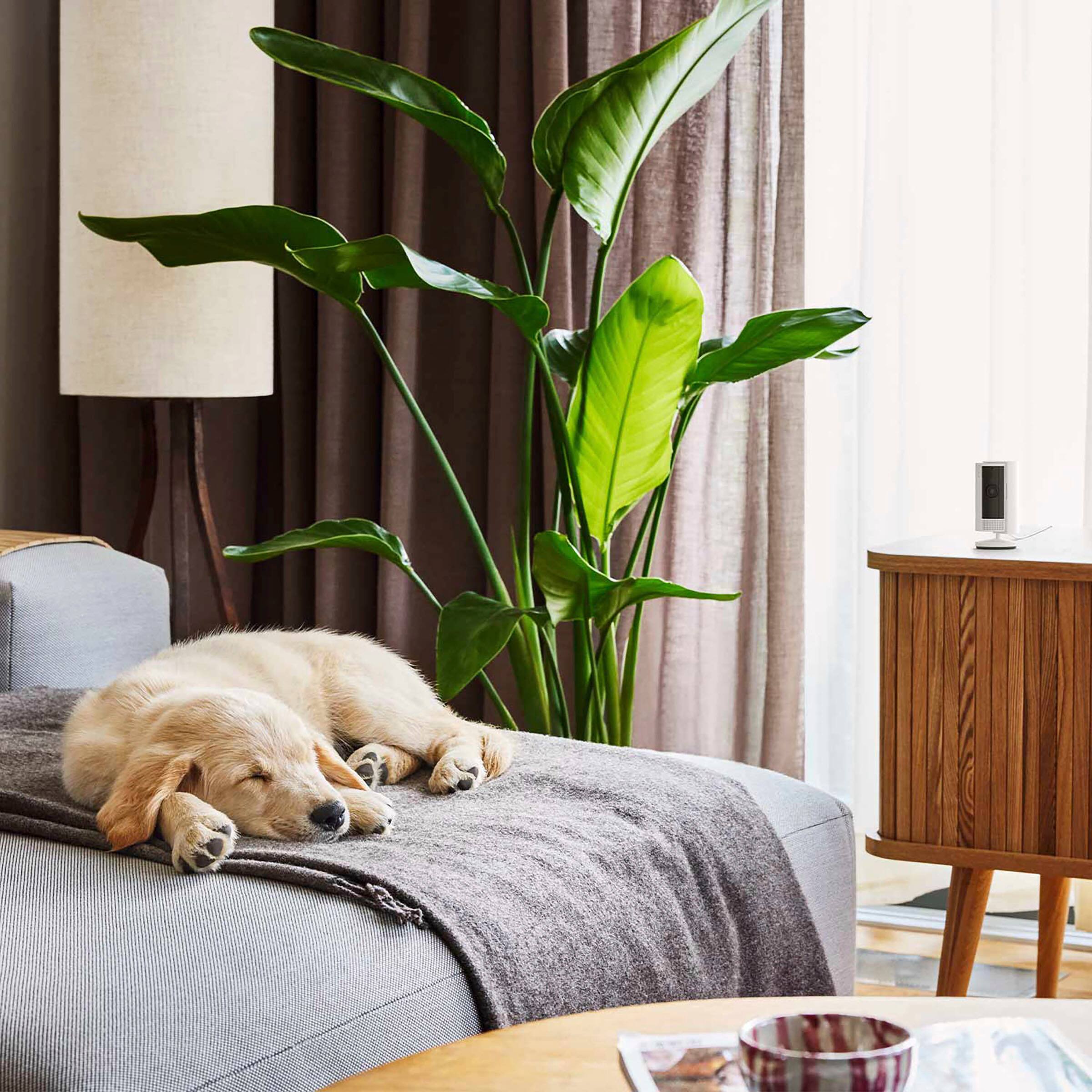 Customer Reviews Ring 2Pack Indoor PlugIn 1080p Security Camera (2nd