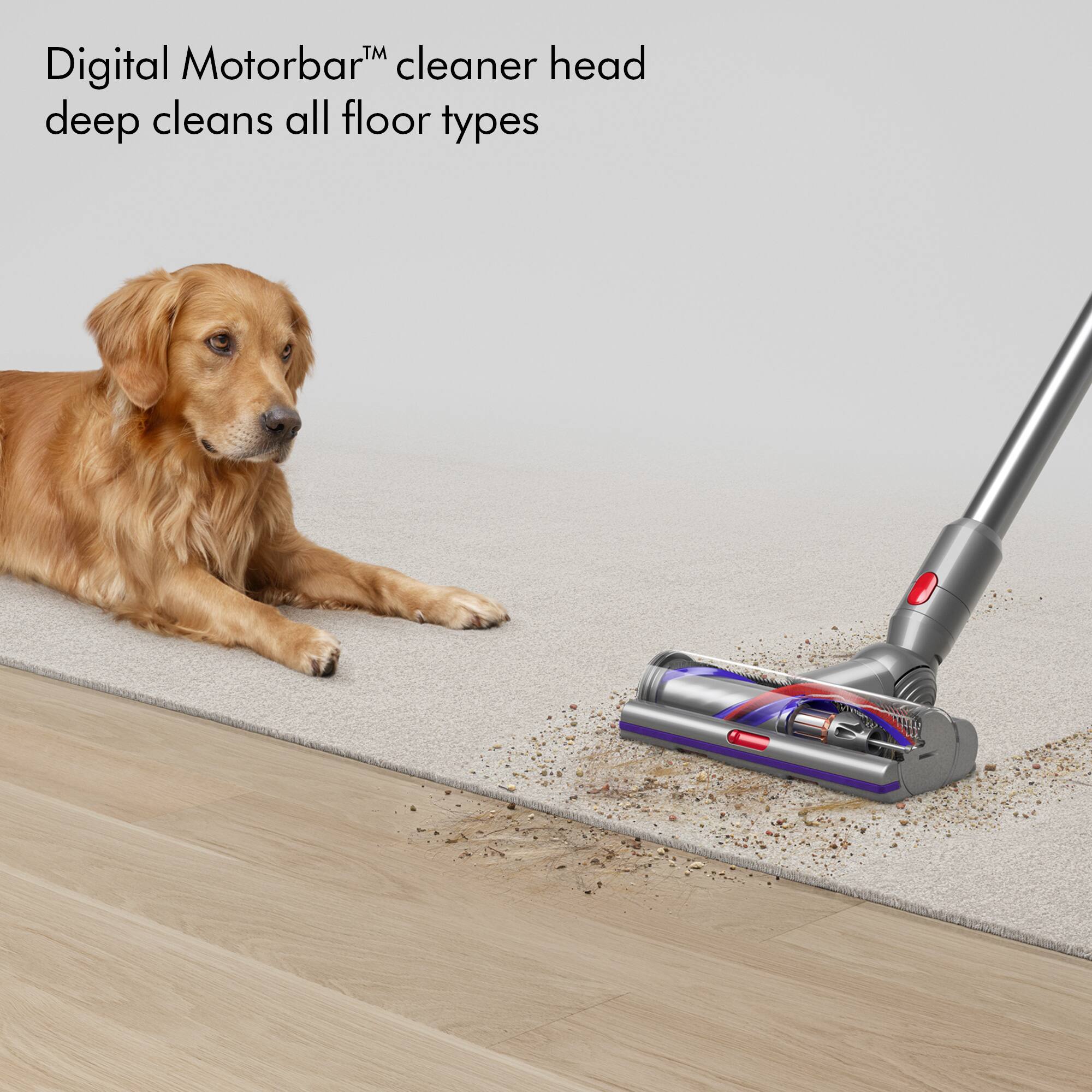 TM Digital Motorbar's cleaner head deep cleans all floor types.