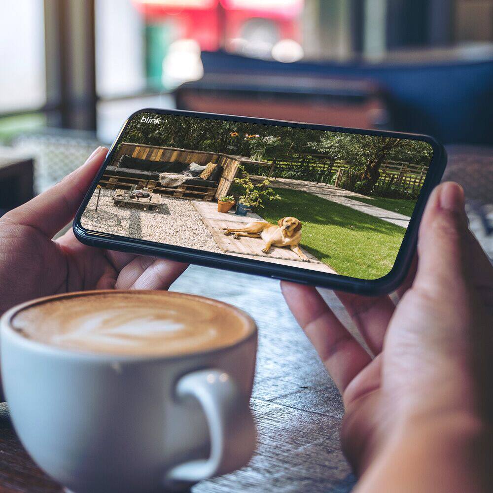 See and speak to people and pets from your smartphone.