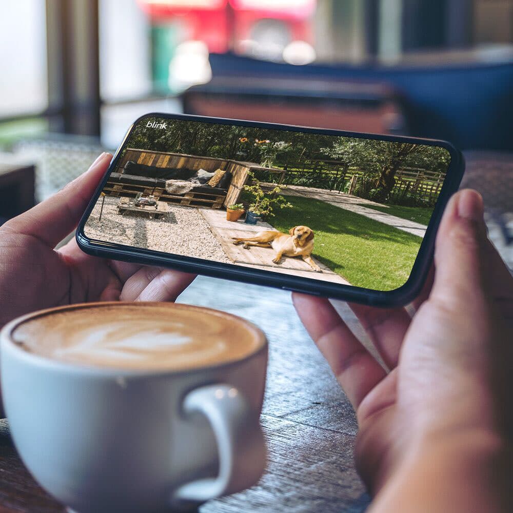 See and speak to people and pets from your smartphone.