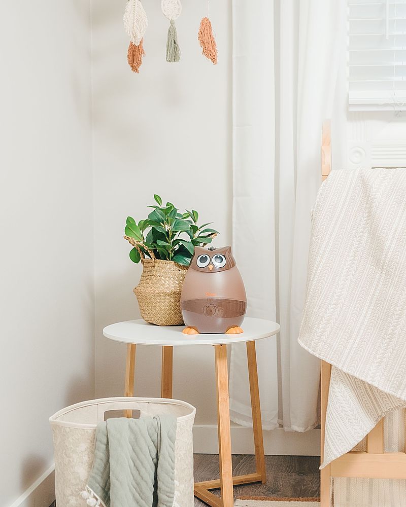 Left View: CRANE - Mini Owl 0.5 Gallon Cool Mist Humidifier - Brown