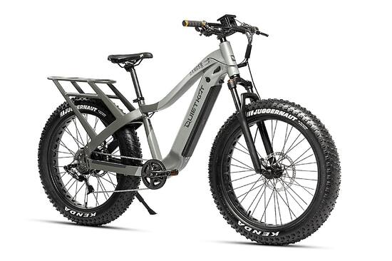 Electric Fat Bike, Best Deals