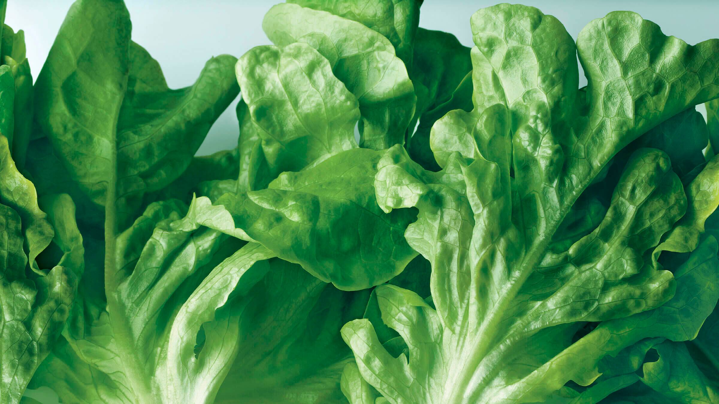 Alt View 11. Fisher & Paykel - Active Smart 20.1 Cu Ft French Door Refrigerator with Ice & Water - Stainless Steel.