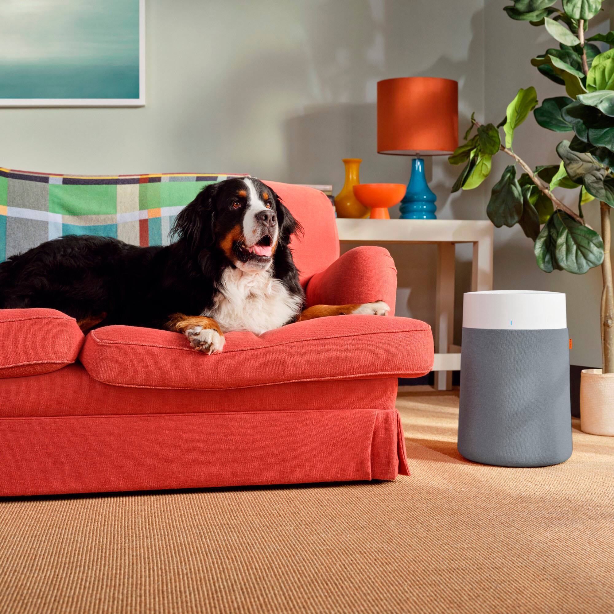 Alt View 14. Blueair - Blue Pure 311i Max 387 Sq. Ft Smart HEPASilent Air Purifier - White/Seabed.