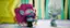 Alt View 15. GameMill Entertainment - DreamWorks Trolls Remix Rescue.