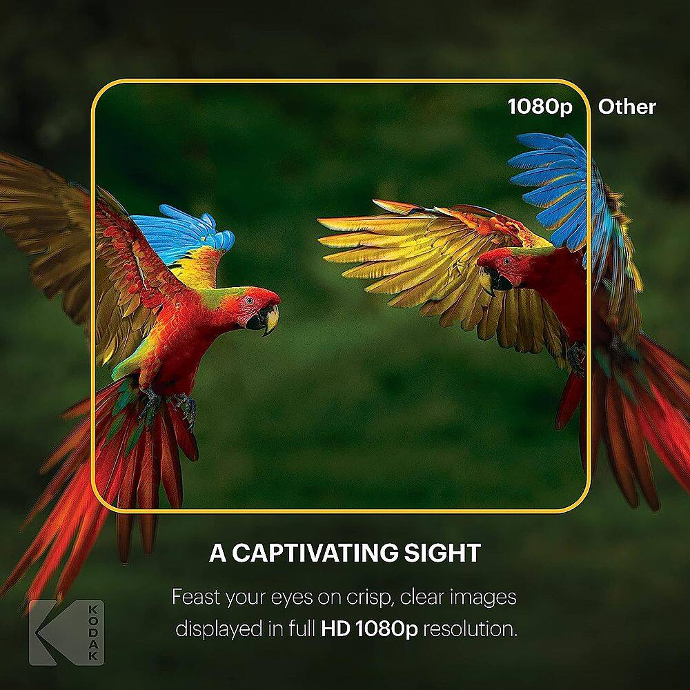 A captivating sight. Feast your eyes on crisp, clear images displayed in full HD 1080p resolution.