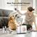 More Than a Robot Vacuum
Easy to Handle Pet Shedding Season
