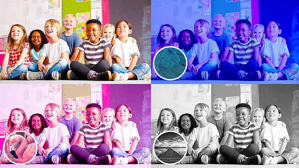 Alt View 11. Adobe - Photoshop Elements 2024 & Premiere Elements 2024 Student Teacher Edition.