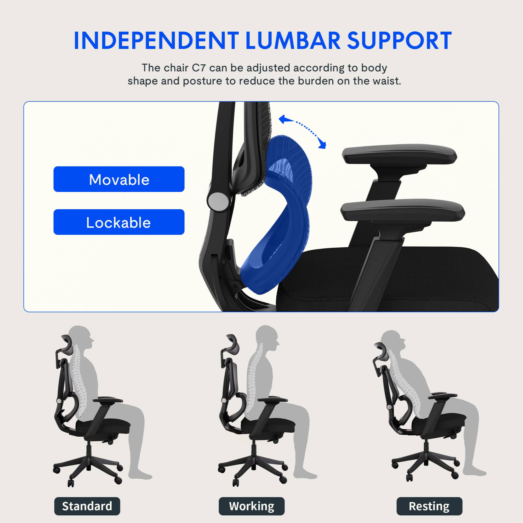 INDEPENDENT LUMBAR SUPPORT

The chair C7 can be adjusted according to body shape and posture to reduce the burden on the waist.

- Movable
- Lockable

Standard
Working
Resting