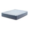 Serta - Perfect Sleeper Splendid Slumber 12-Inch Medium Memory Foam Mattress-Twin XL - Dark Blue