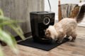 Alt View Zoom 12. Whisker - Feeder-Robot Wi-fi Cat & Dog Auto-feeder with Hopper & Backup Battery Compatibility (sold separately) - Black.