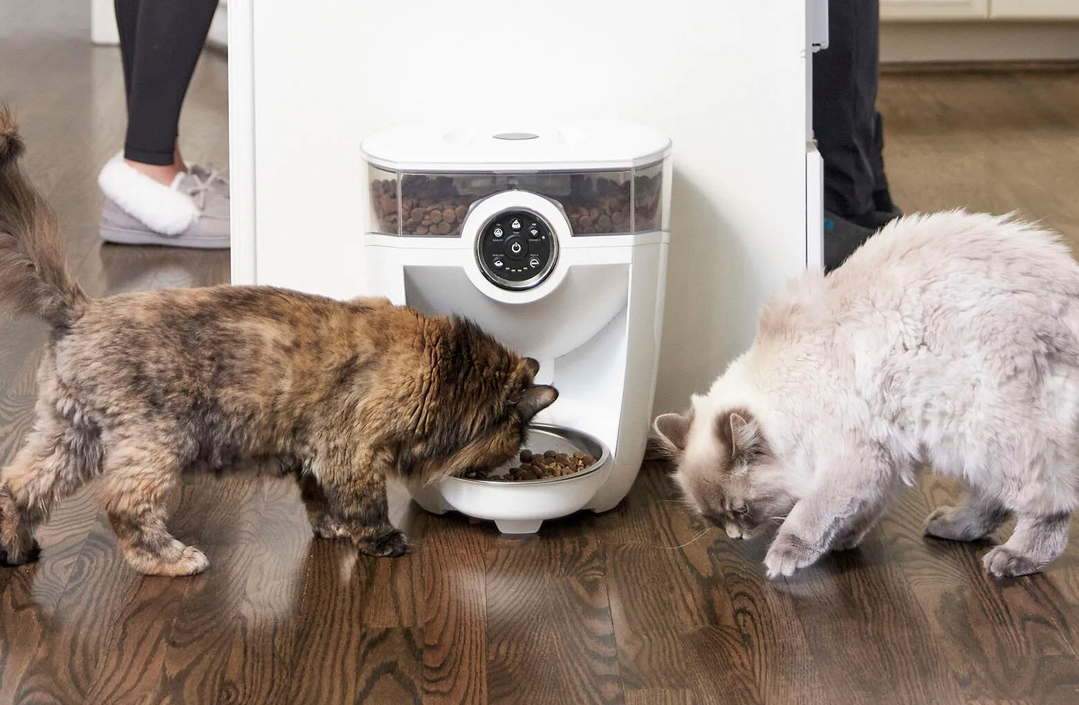 Alt View 11. Whisker - Feeder-Robot Wi-fi Cat & Dog Auto-feeder with Hopper & Backup Battery Compatibility (sold separately) - White.