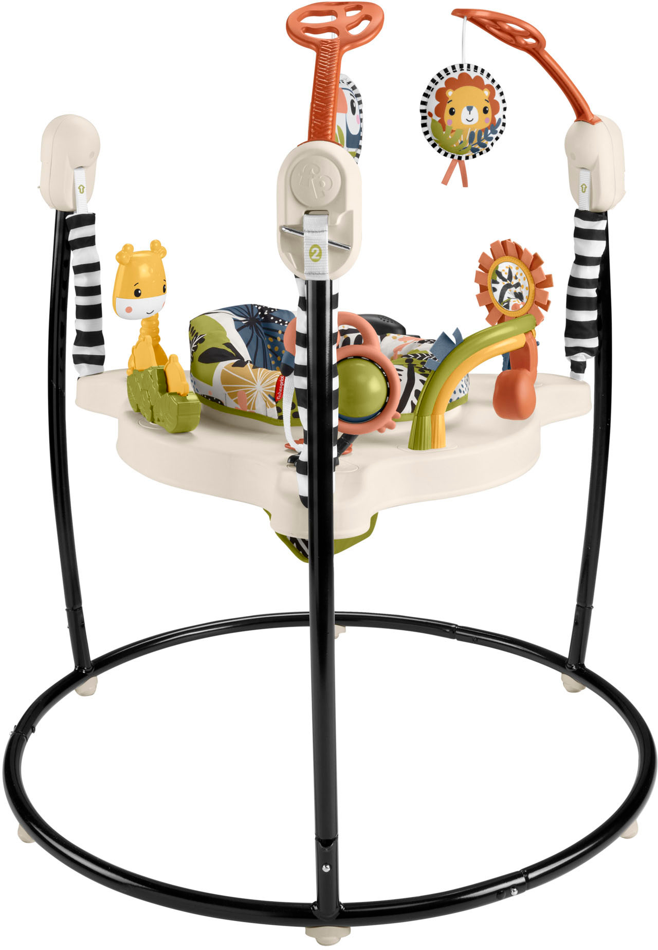 Fisher-Price Baby Bouncer Palm Paradise Jumperoo Activity  Center With Music Lights Sounds And Developmental Toys : Baby