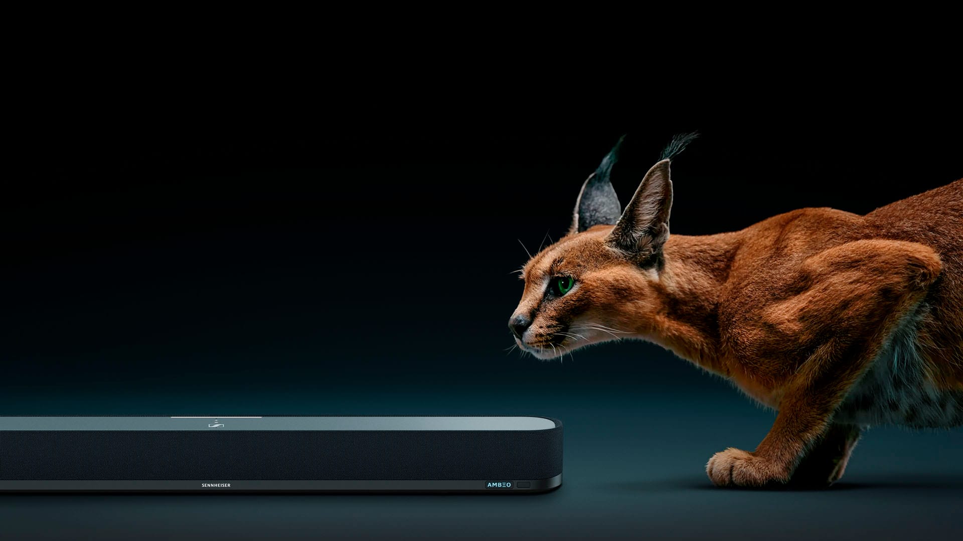 Alt View 15. Sennheiser - AMBEO Soundbar Mini Compact Device with Adaptive Features and Multiple Connectivity - Black.