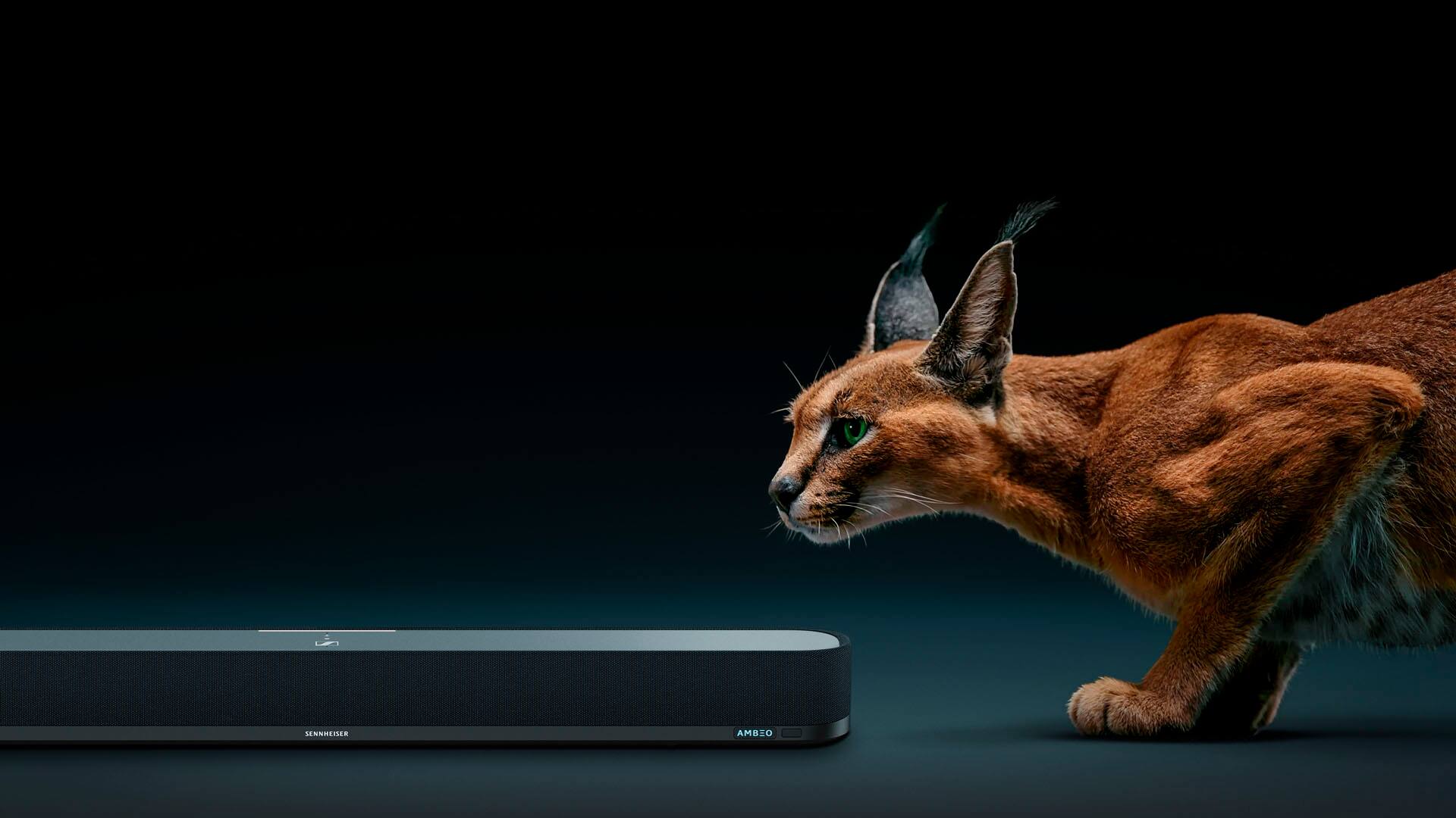 Alt View 15. Sennheiser - AMBEO Soundbar Mini Compact Device with Adaptive Features and Multiple Connectivity - Black.