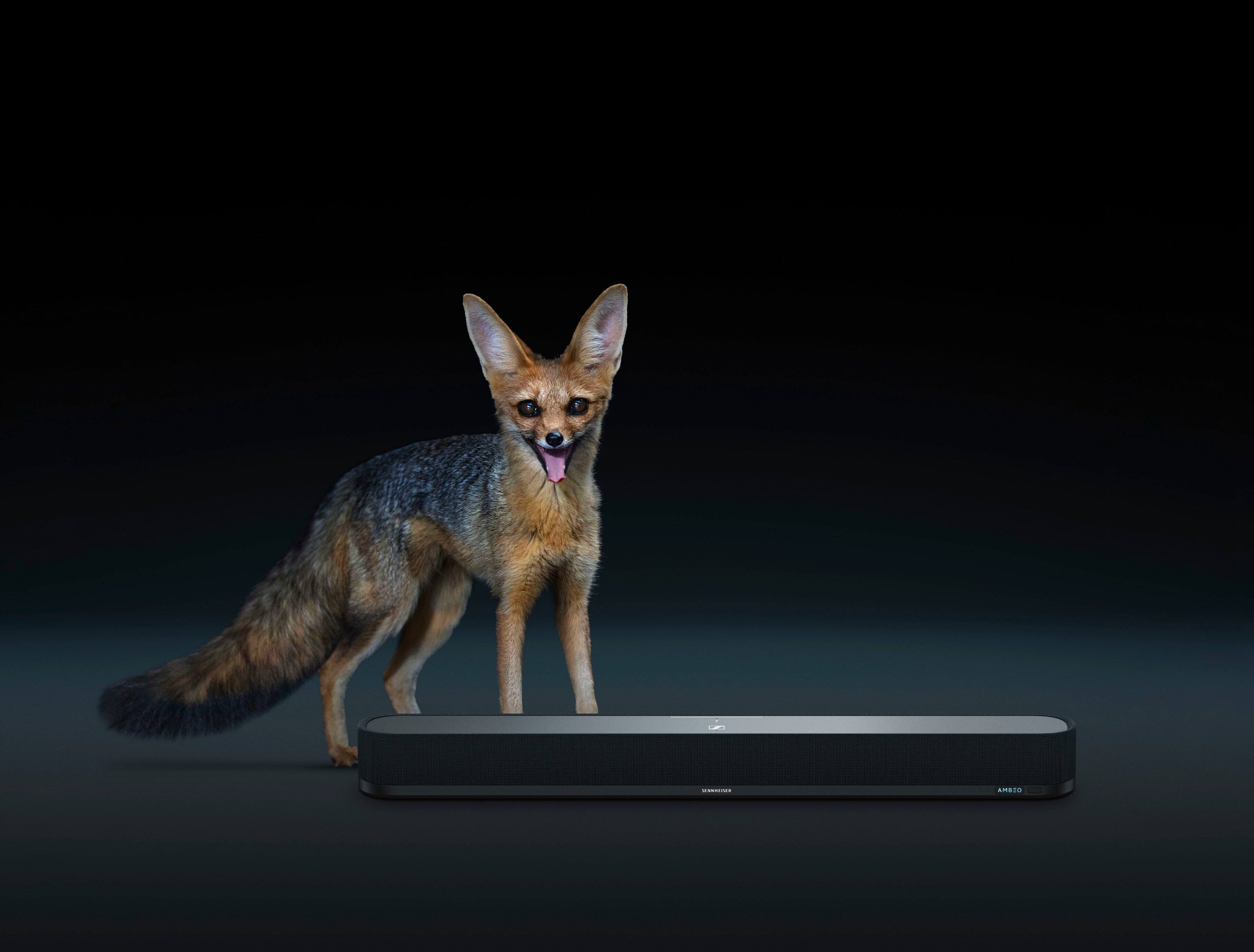 Alt View 20. Sennheiser - AMBEO Soundbar Mini Compact Device with Adaptive Features and Multiple Connectivity - Black.