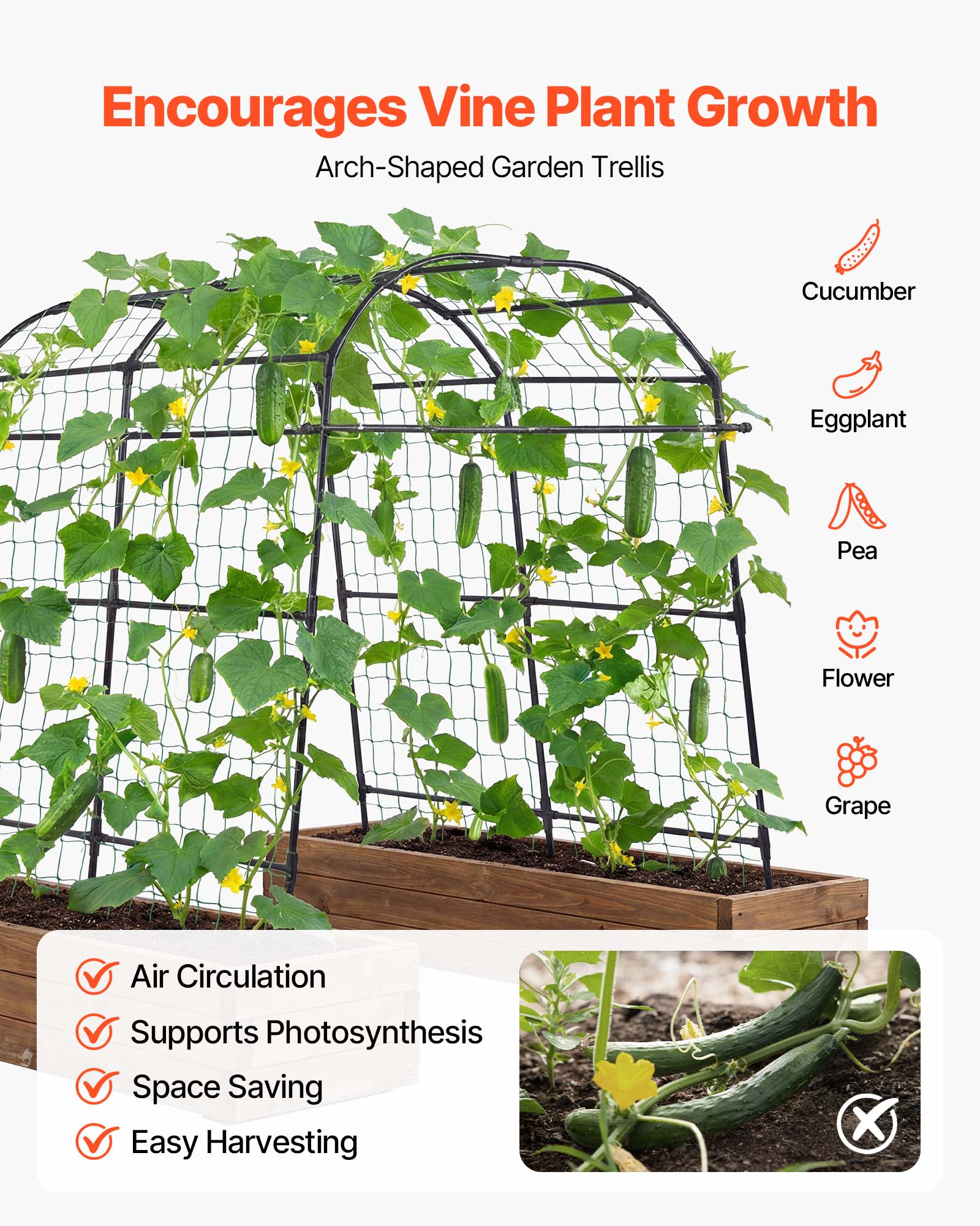 Encourages Vine Plant Growth  
Arch-Shaped Garden Trellis  

Cucumber  
Eggplant  
Pea  
Flower  
Grape  

Air Circulation  
Supports Photosynthesis  
Space Saving  
Easy Harvesting