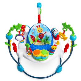 Baby Einstein - Neighborhood Symphony Activity Jumper - MULTICOLORED