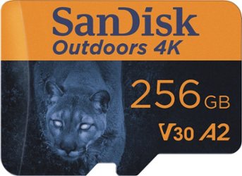 SanDisk - Outdoors 4K 256GB microSDXC UHS-I Memory Card with SD Adapter - Front_Zoom