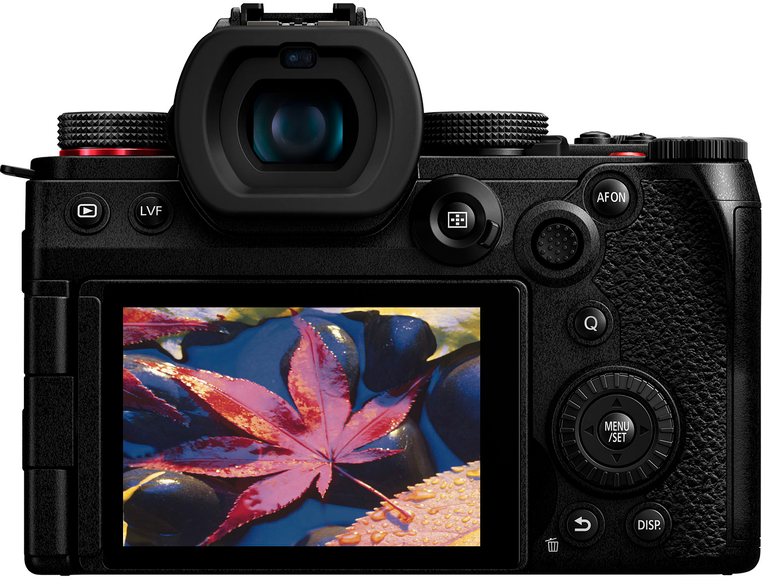 Panasonic LUMIX G9II Mirrorless Camera (Body Only) Black DC-G9M2BODY - Best  Buy