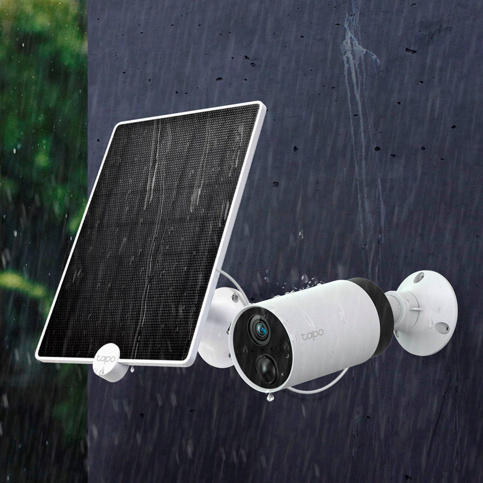 The text on the image reads "topo tapo."