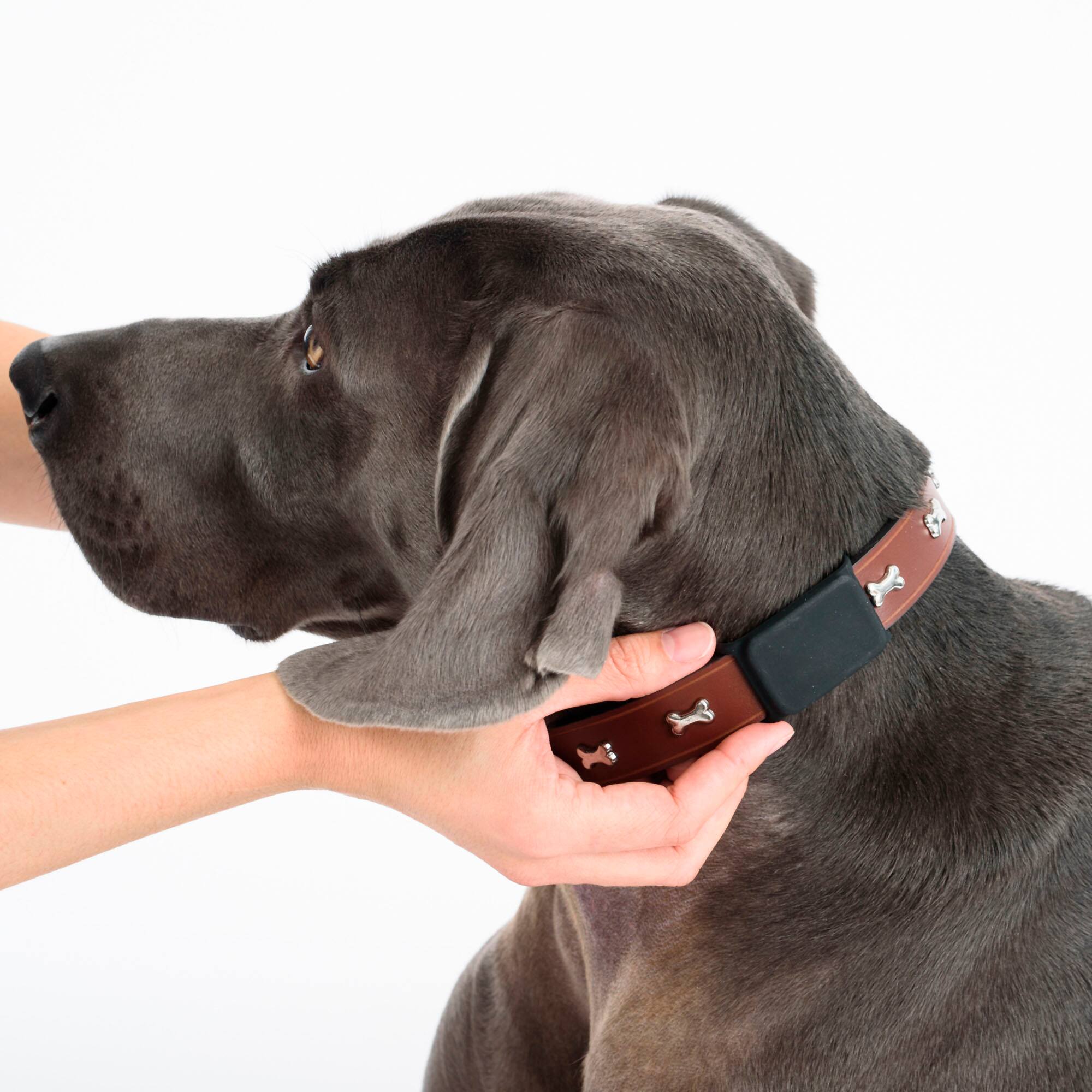 Alt View 12. Pebblebee - Tag, Made for Google Rechargeable Item Tracker, works with Android Find My Device - Black.