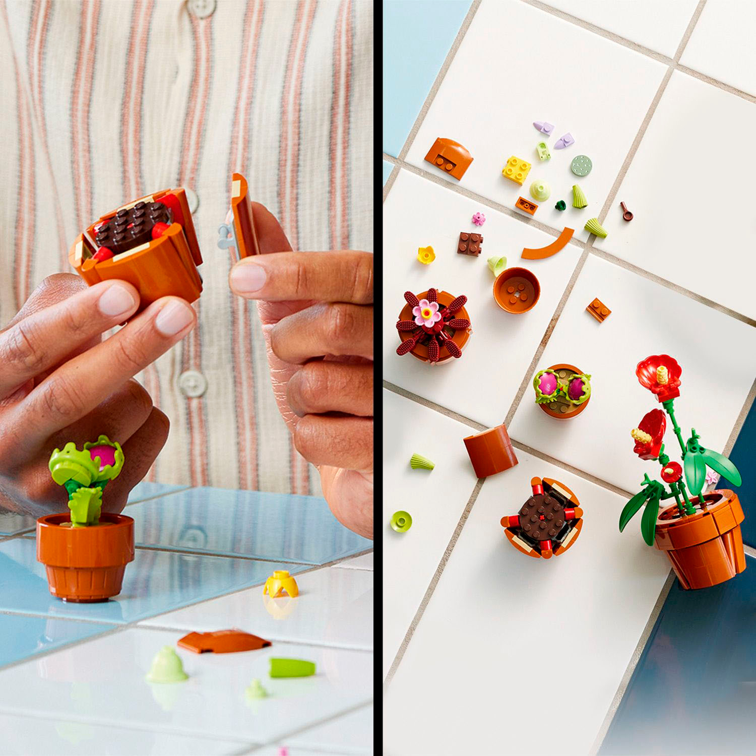 LEGO Icons Tiny Plants Creative Building Set for Adults, Gift for  Valentines Day for Flower-Lovers, Carnivorous, Tropical and Arid Flora,  Build and Display Cactus Décor, Botanical Collection, 10329 