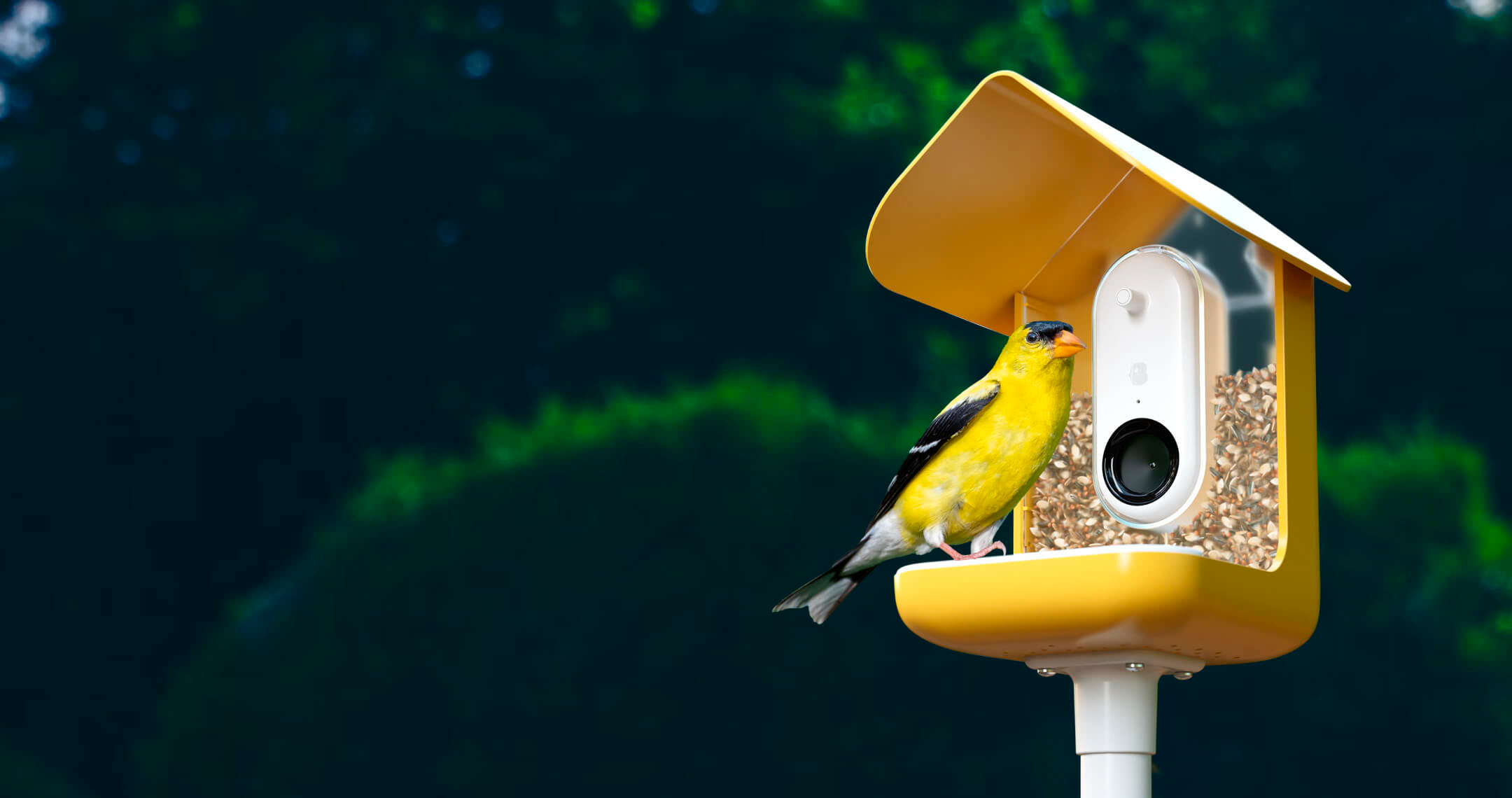Bird Buddy Smart Feeder with Solar Roof – MoMA Design Store