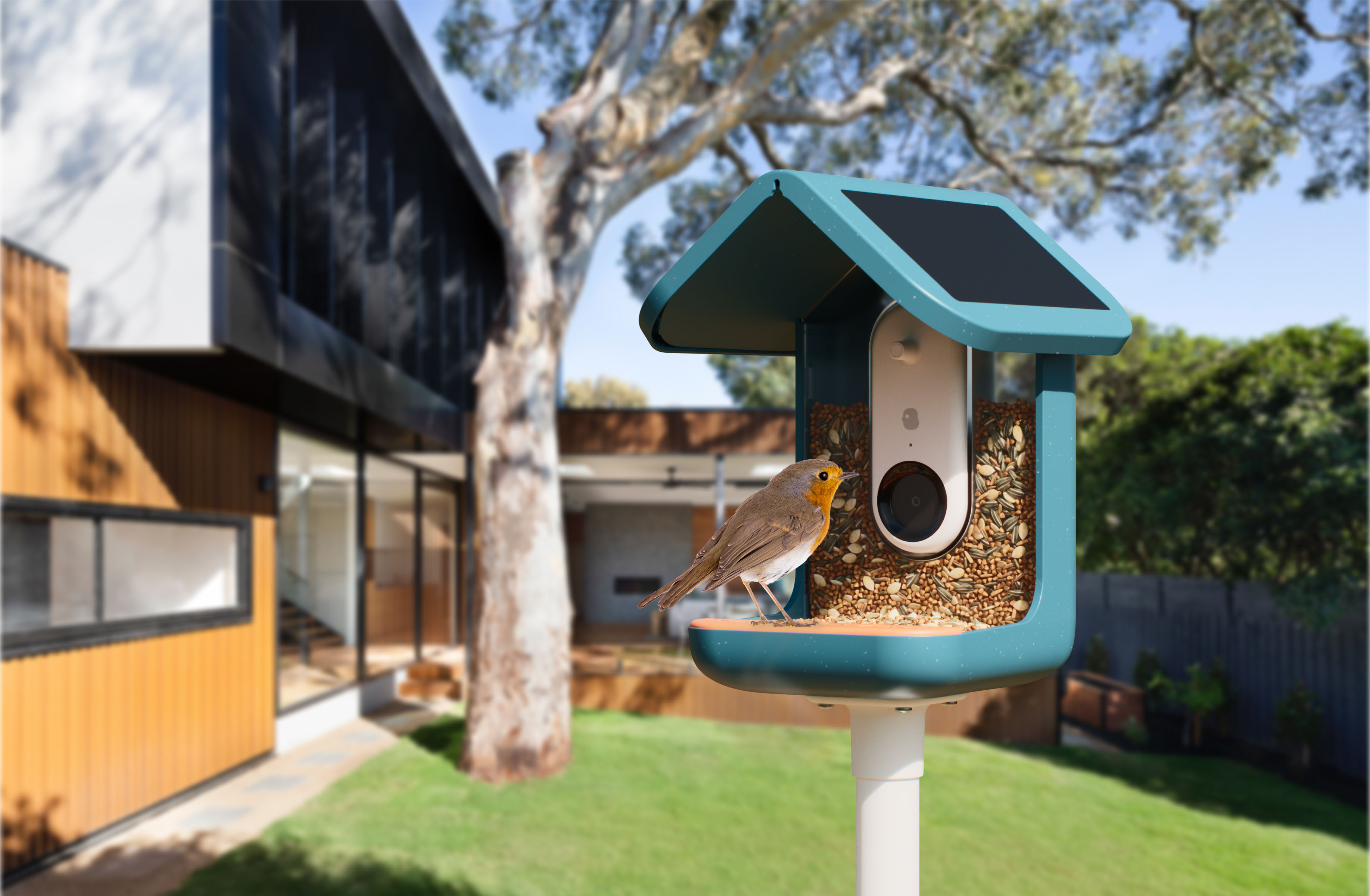 Meet Bird Buddy - the smart bird feeder that bird watchers will love - Tech  Guide