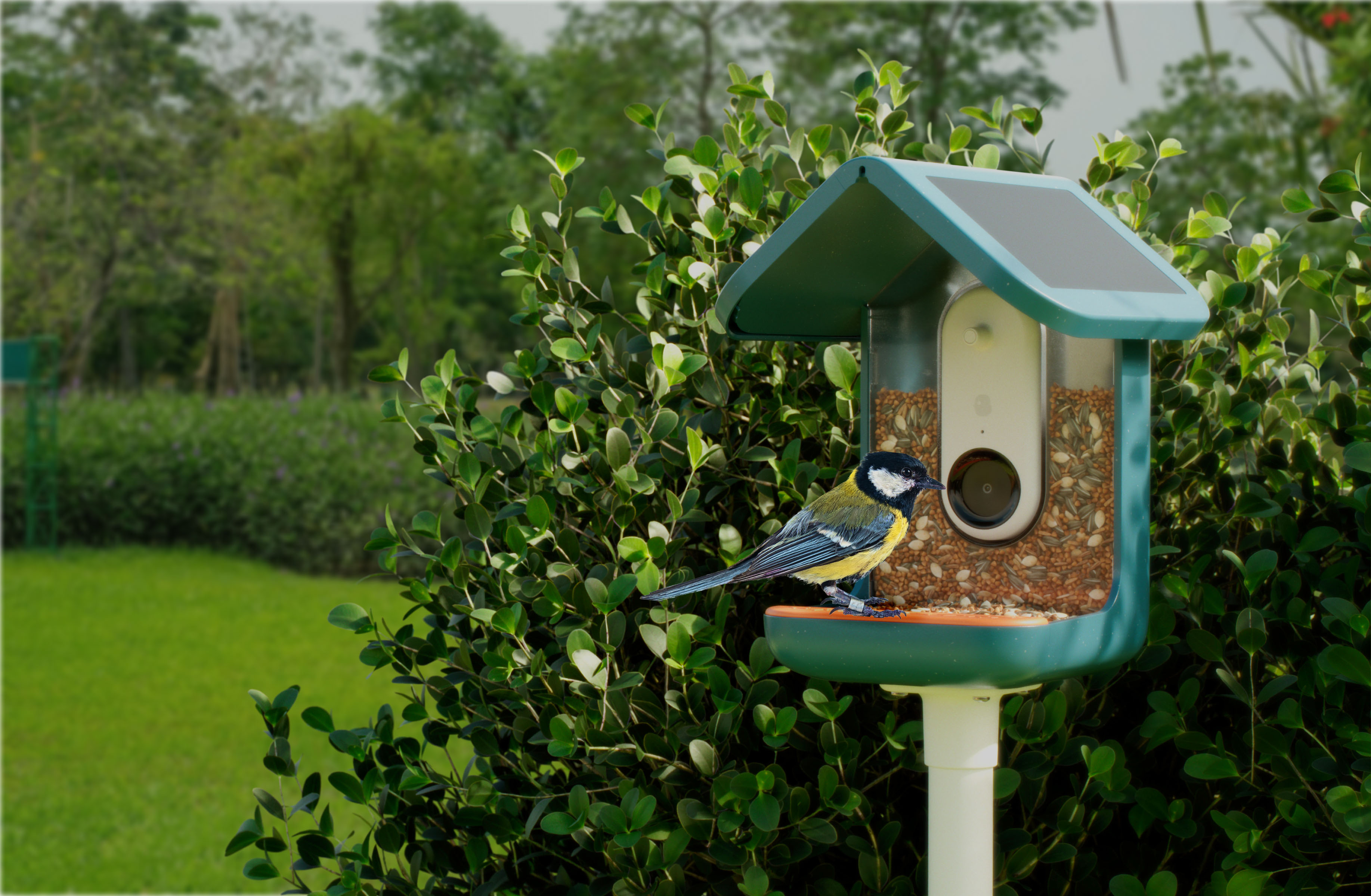  BIRD BUDDY® Original Smart Bird Feeder with Camera Solar  Powered. High Resolution AI Camera for Beautiful Close-up Shots and a  Unique Bird Watching Experience : Patio, Lawn & Garden