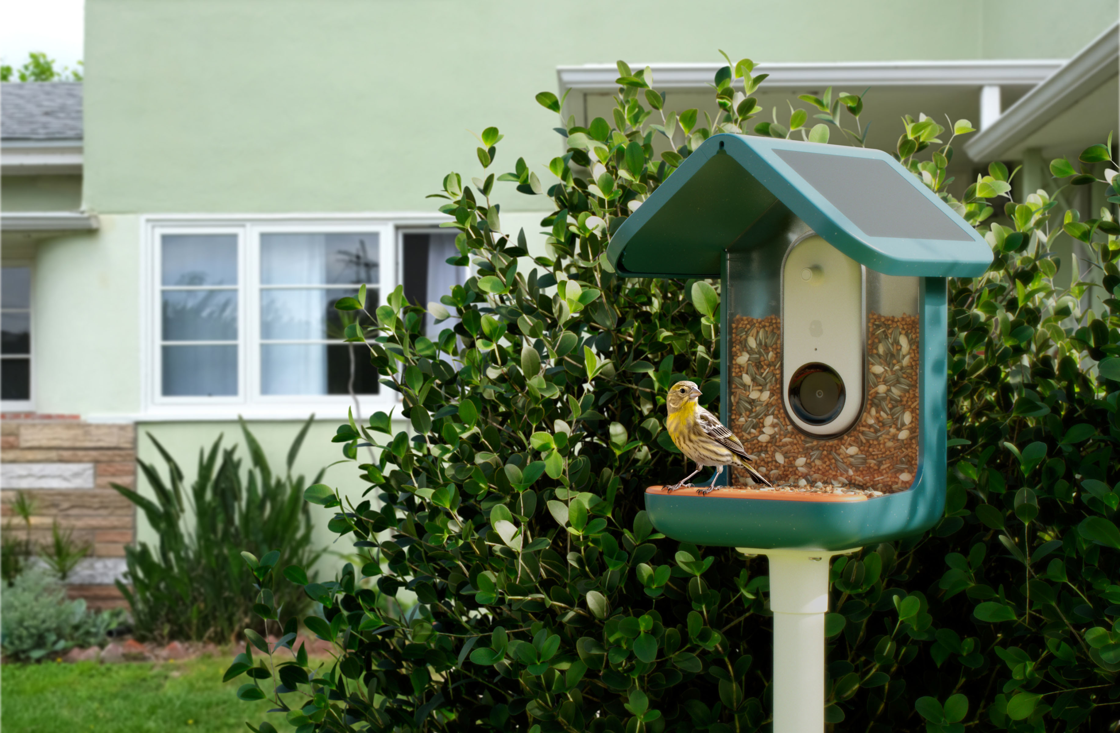 Achetez en gros Hibird Smart Bird Feeders Maison Pour L'extérieur