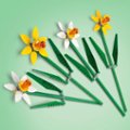 Alt View 11. LEGO - Daffodils Celebration Gift, Yellow and White Daffodil Room Decor 40747.
