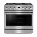Thor Kitchen - 36 in. Wide 5 Elements 6.0 Cu. Ft. Freestanding Electric Convection Range - Silver